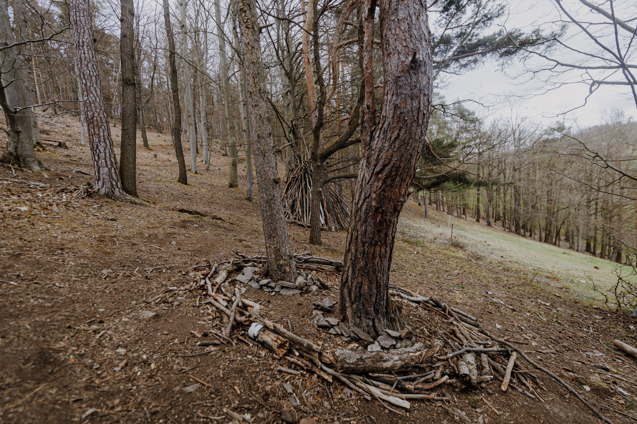 SioMotion MeinSaalfeld AprilTour 202426von139