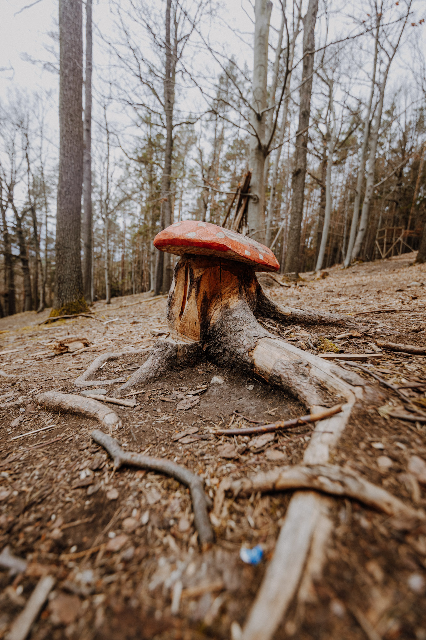 SioMotion MeinSaalfeld AprilTour 202447von139