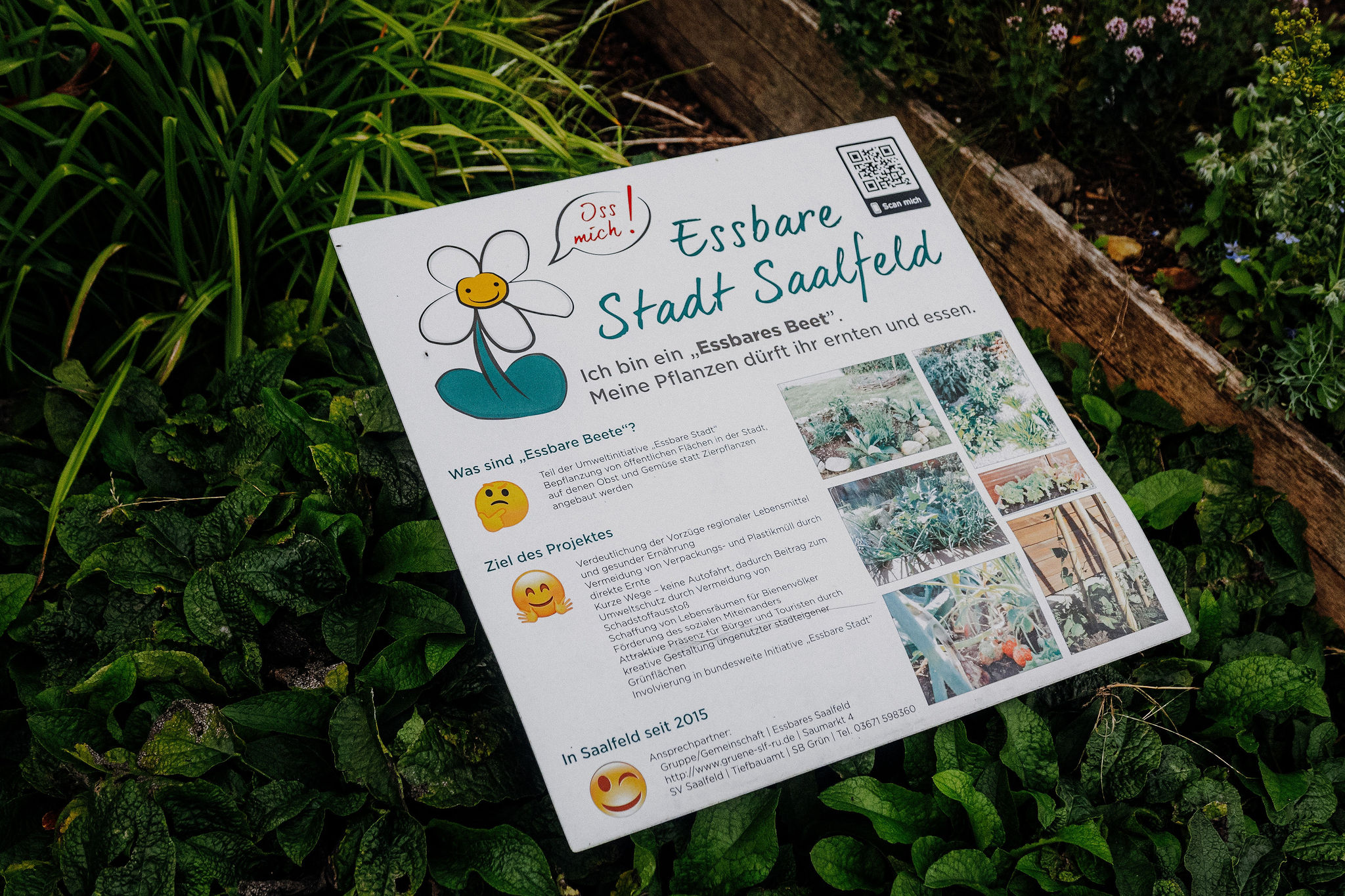 SioMotion MeinSaalfeld Sommerabendrunde 30072555von67