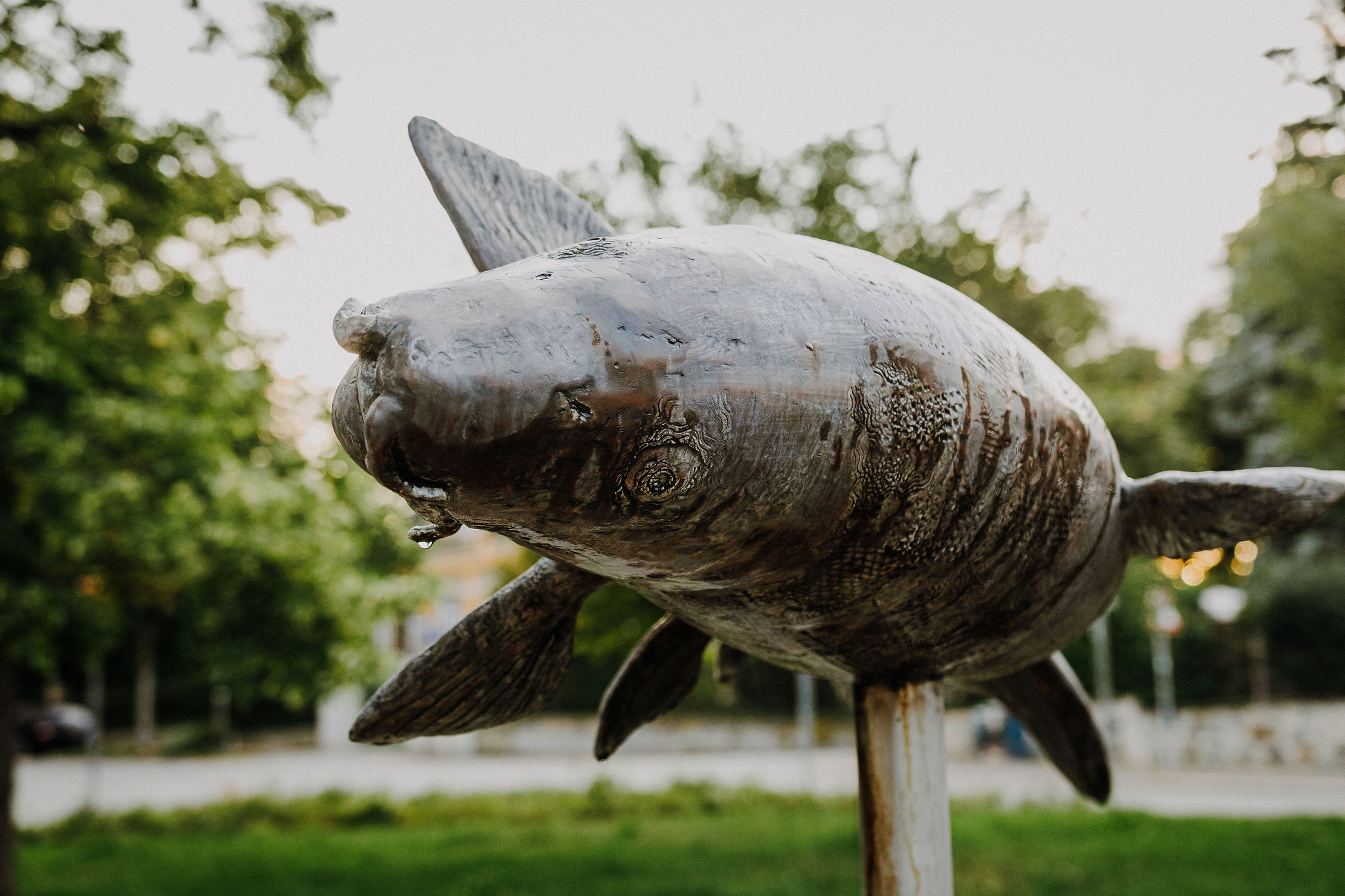 SioMotion MeinSaalfeld SommerrundeI25von104